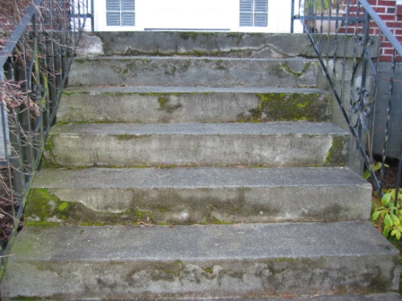 Before photo - steps with brick borders